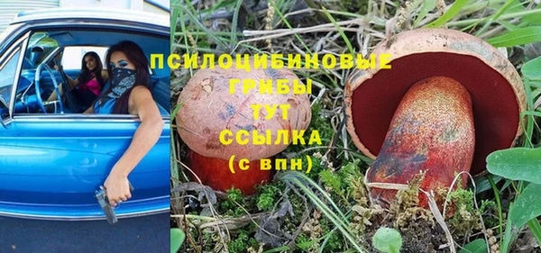 соль ск Абдулино