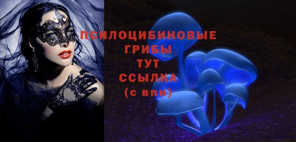 гашиш Абаза