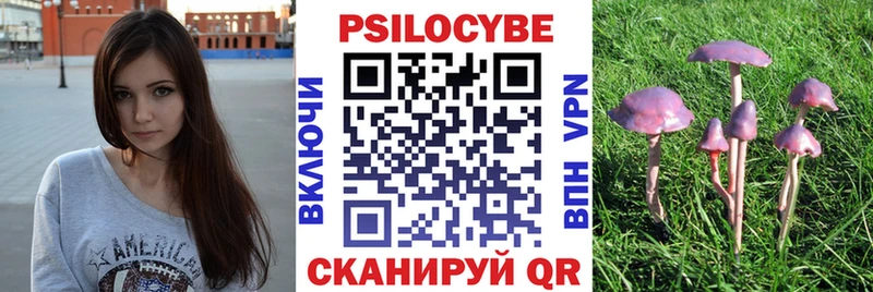 наркотики Смоленск blacksprut вход Псилоцибиновые грибы мухоморы