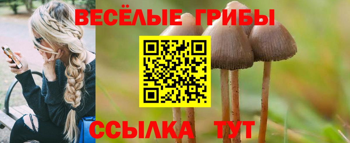 где купить наркоту  Вход с VPN  Смоленск  Галлюциногенные грибы GOLDEN TEACHER  Галлюциногенные грибы прущие грибы 